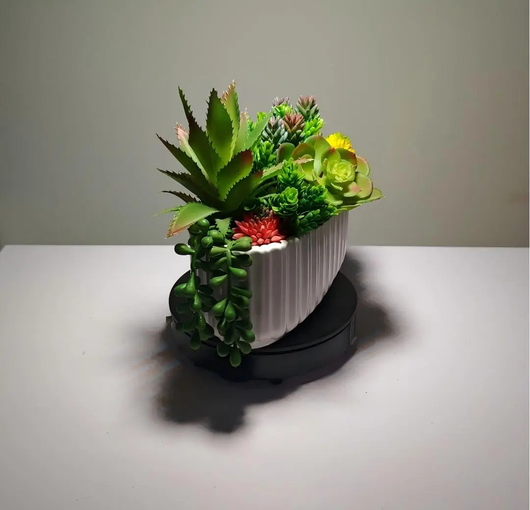 DR0028 (2) - planta suculenta artificial decoração