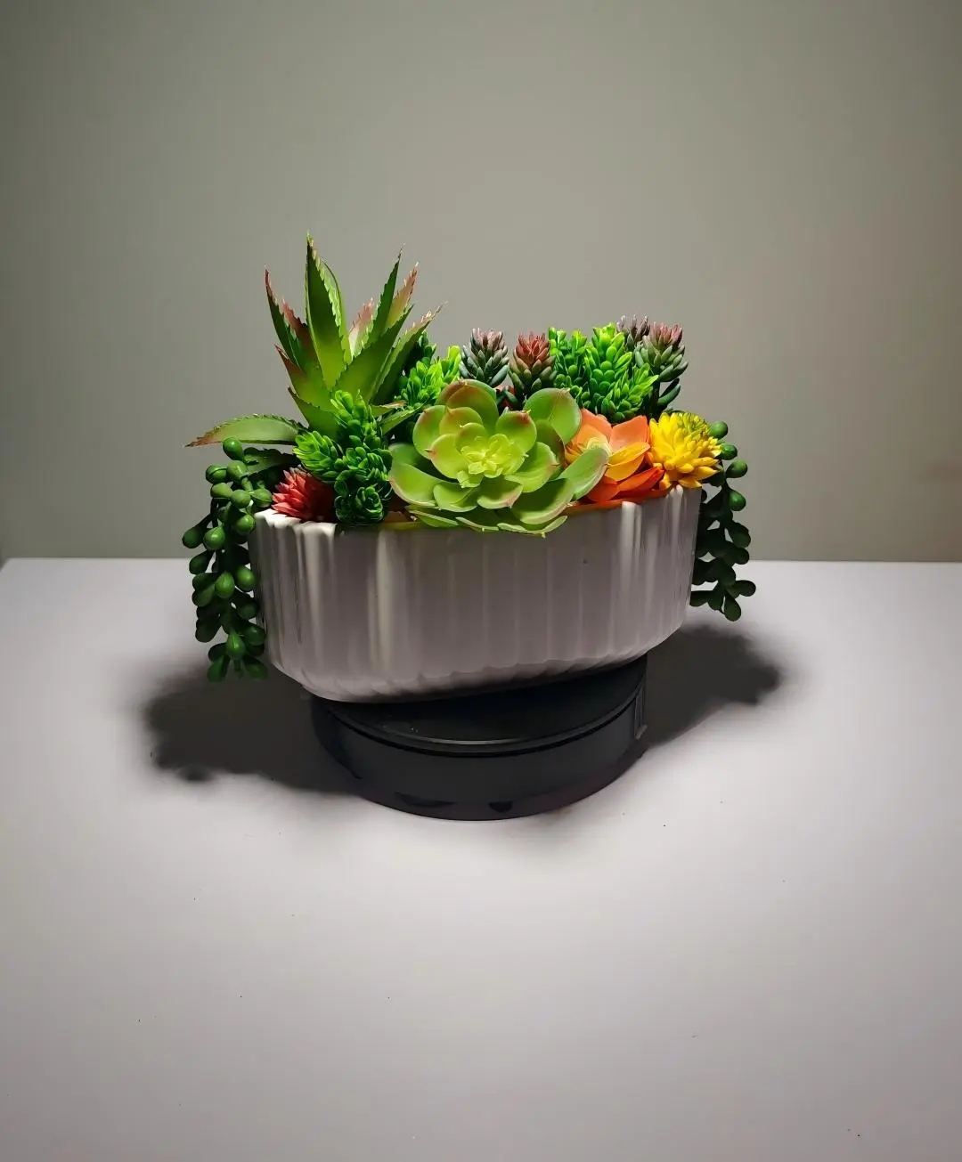 DR0028 (3) - planta suculenta artificial decoração