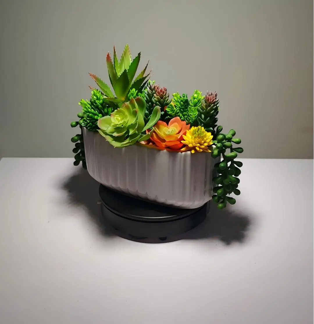 DR0028 (4) - planta suculenta artificial decoração