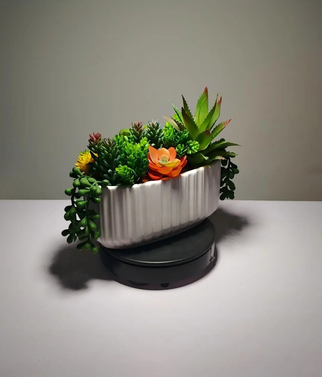 DR0028 (5) - planta suculenta artificial decoração