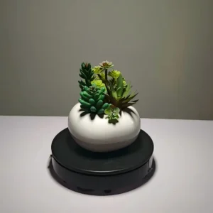 DR0029 (5) profile - suculentas artificales