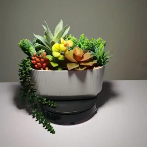 DR0032 (4) profile - Plantinha Suculenta Artificial