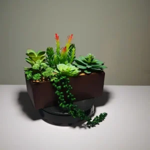 DR0033 (4) profile - suculentas artificiales
