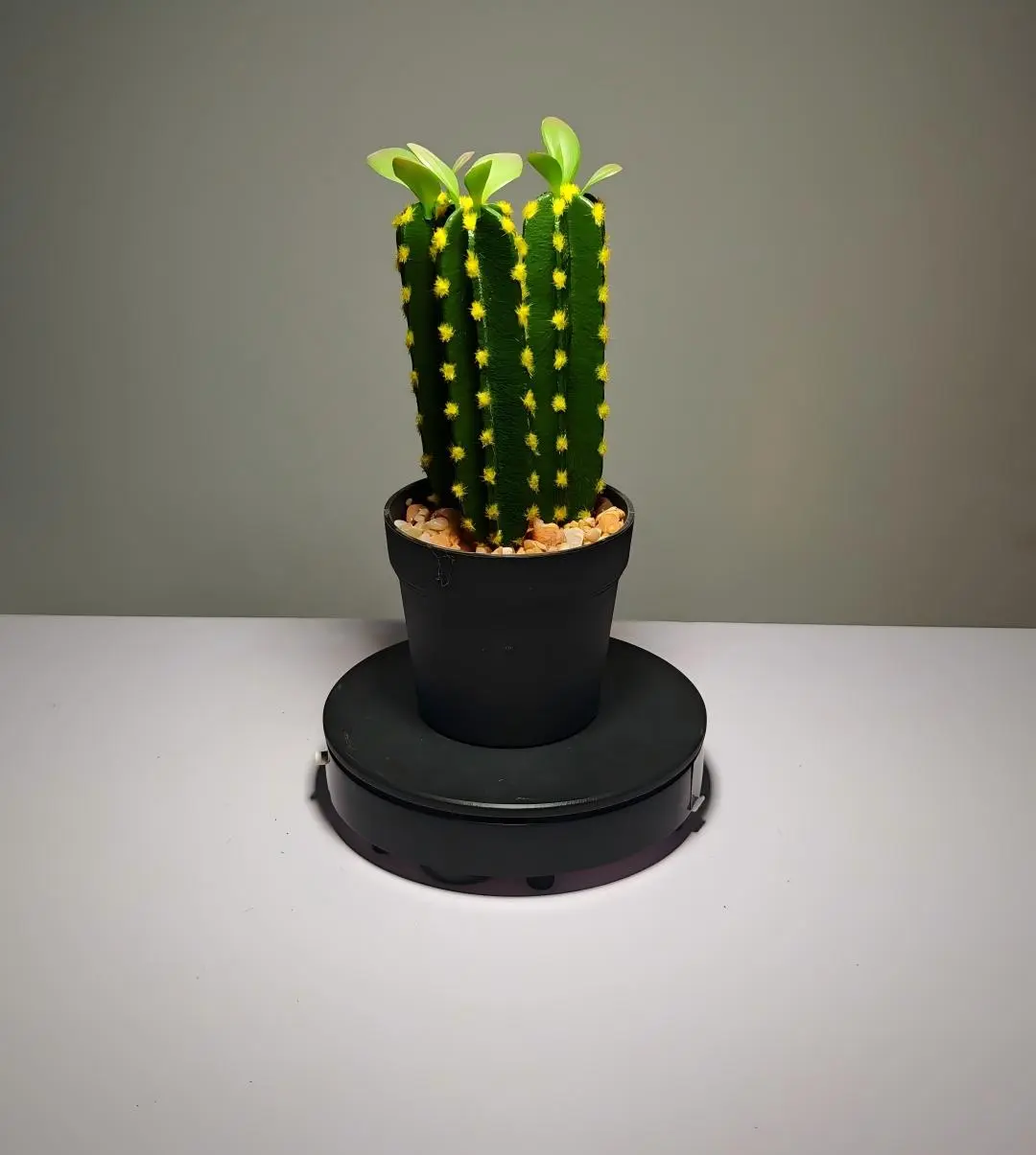 DR0034 (2) - succulents cactus artificiales