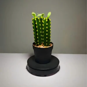 DR0034 (3) profile - succulents cactus artificiales