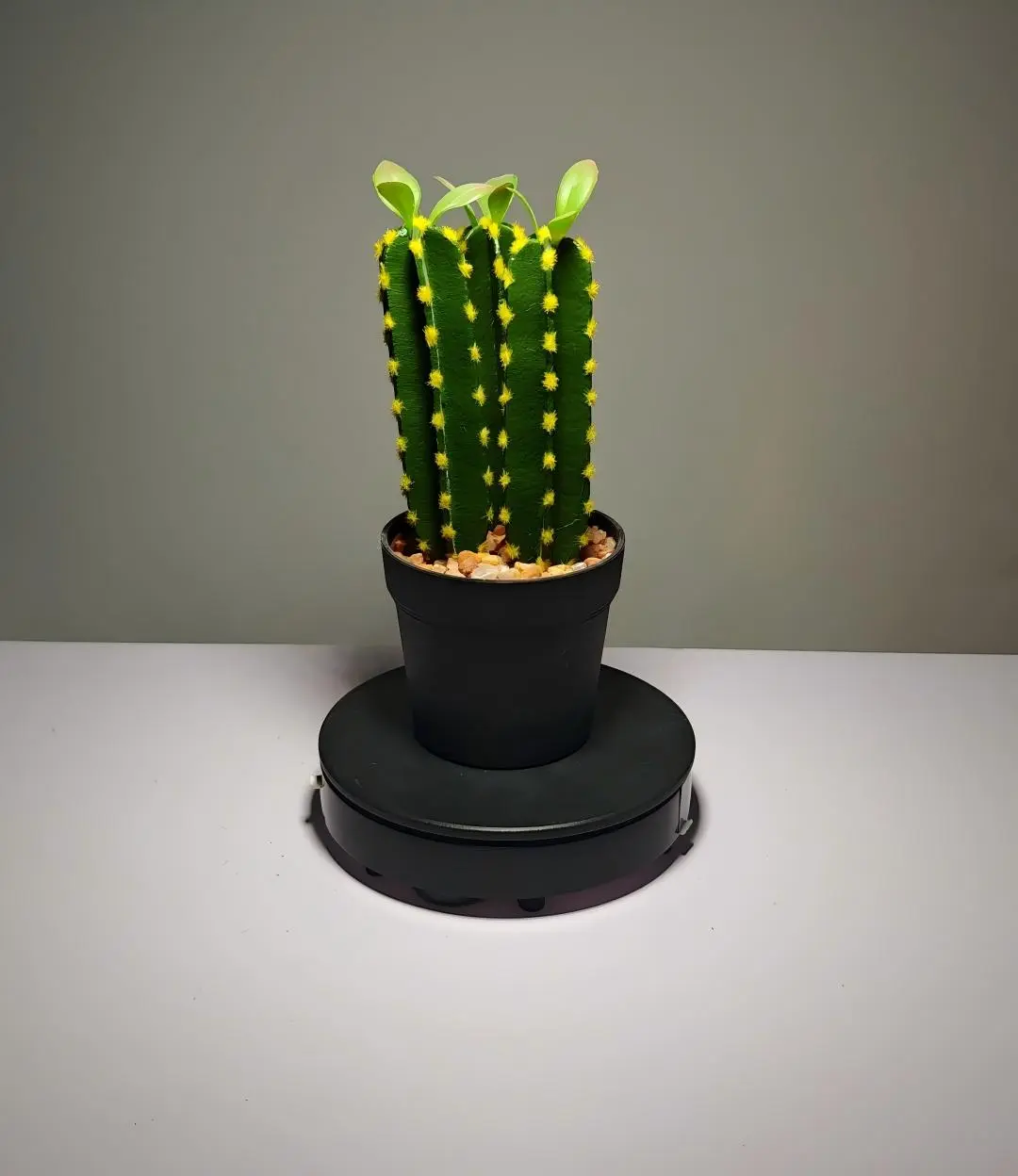 DR0034 (3) - succulents cactus artificiales