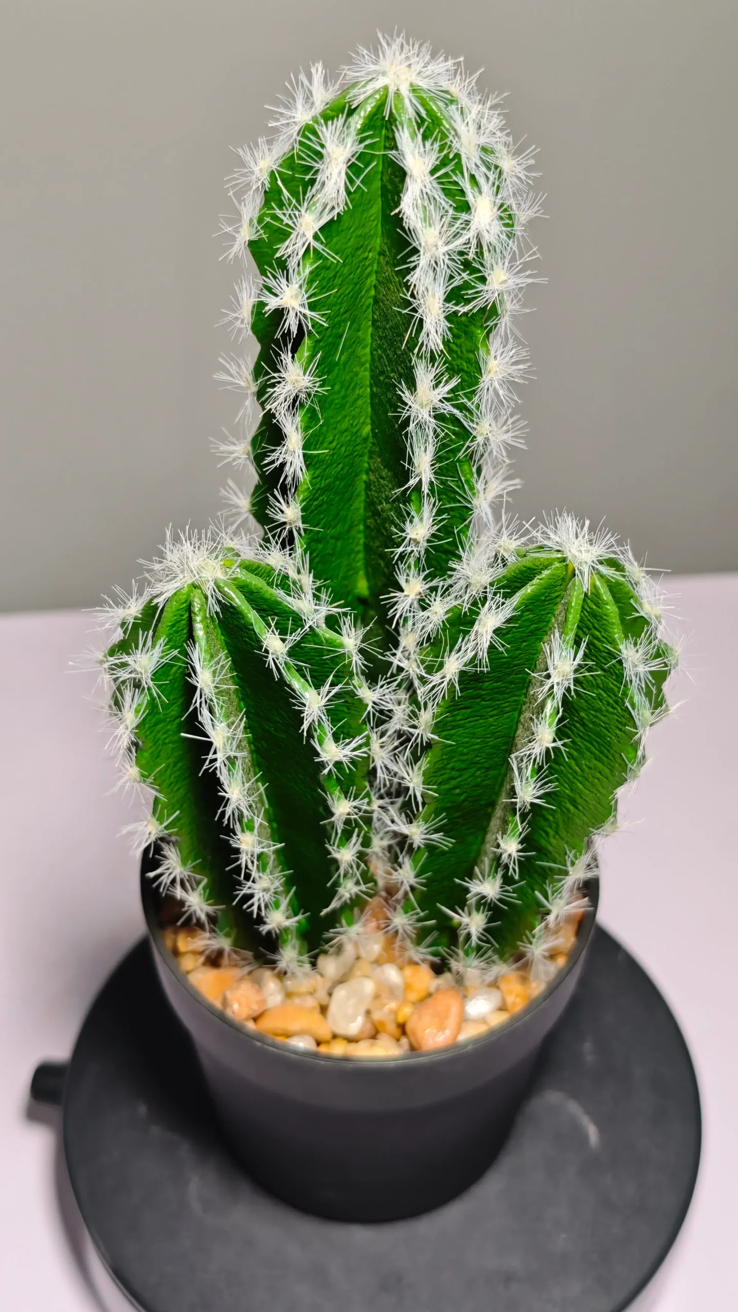 DR0036 (1) - Cactus suculento artificial verde