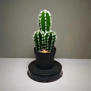 DR0036 (2) profile - Cactus suculento artificial verde