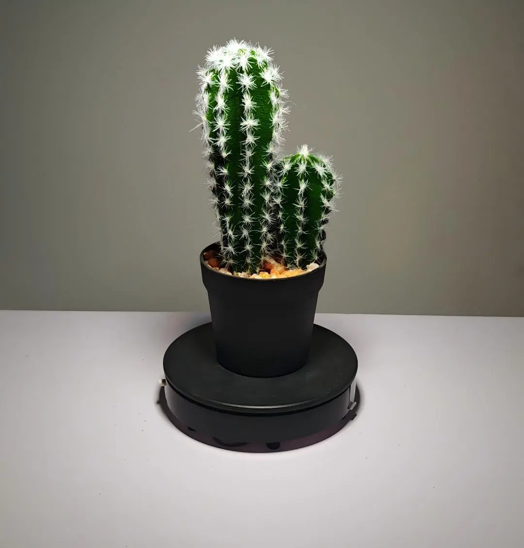 DR0036 (4) - Cactus suculento artificial verde