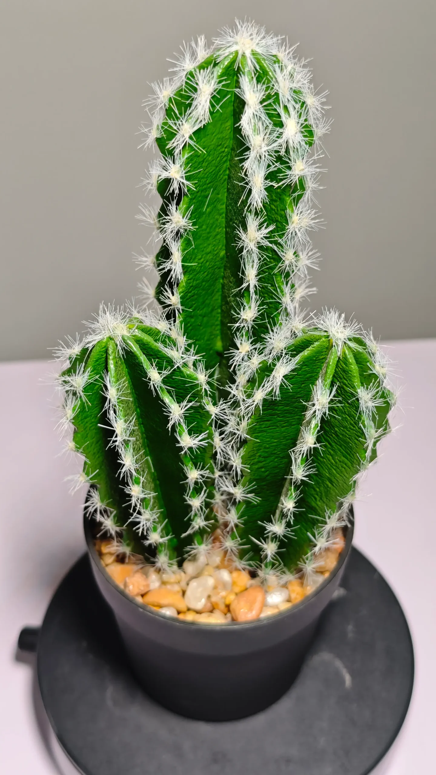 DR0036 (6) - Cactus suculento artificial verde