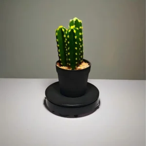 DR0037 (2) profile - Suculentas Artificiales al por mayor