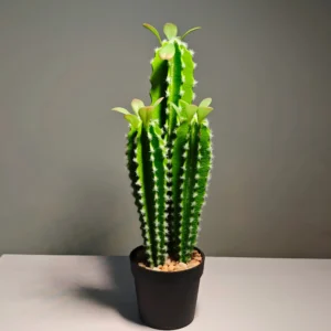 DR0039 (4) profile - suculenta gigante artificial