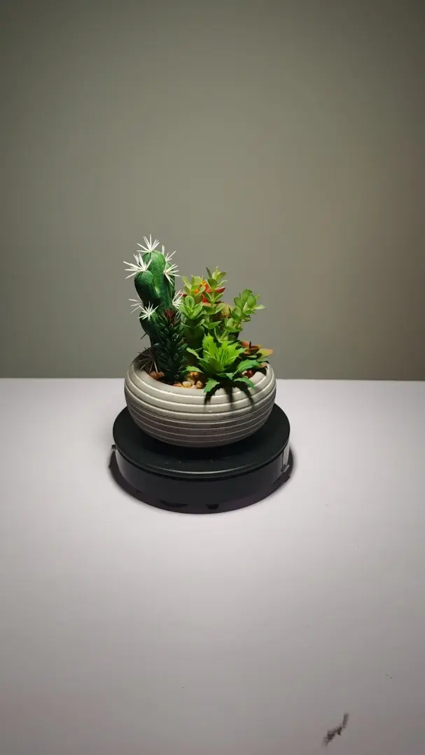 DR004 (3) - plantas de interior artificiales