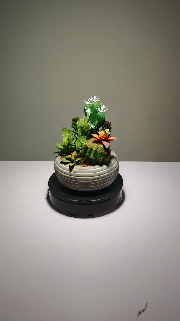 DR004 (4) - plantas de interior artificiales