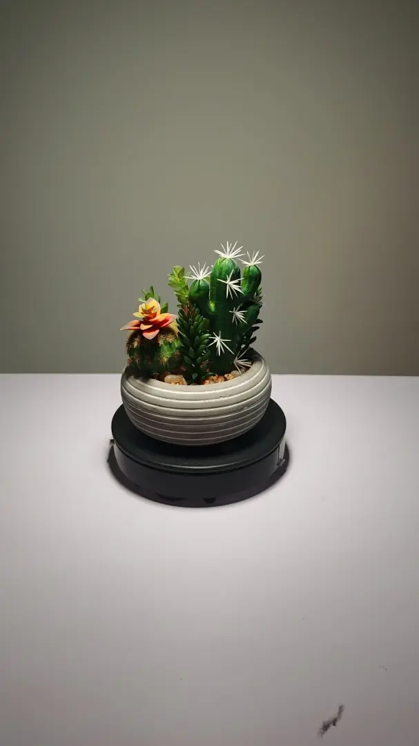 DR004 (5) - plantas de interior artificiales