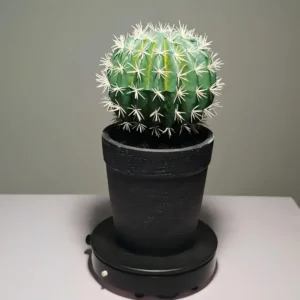 DR0044 profile - suculentas artificiales bolitas