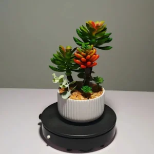 DR0046 (2) profile - suculentas artificiales exterior