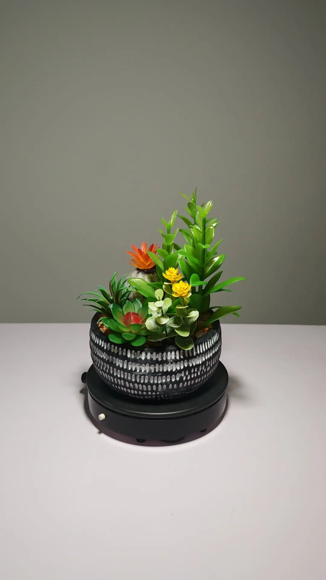 DR0049 (1) - suculentas artificiales bonsai