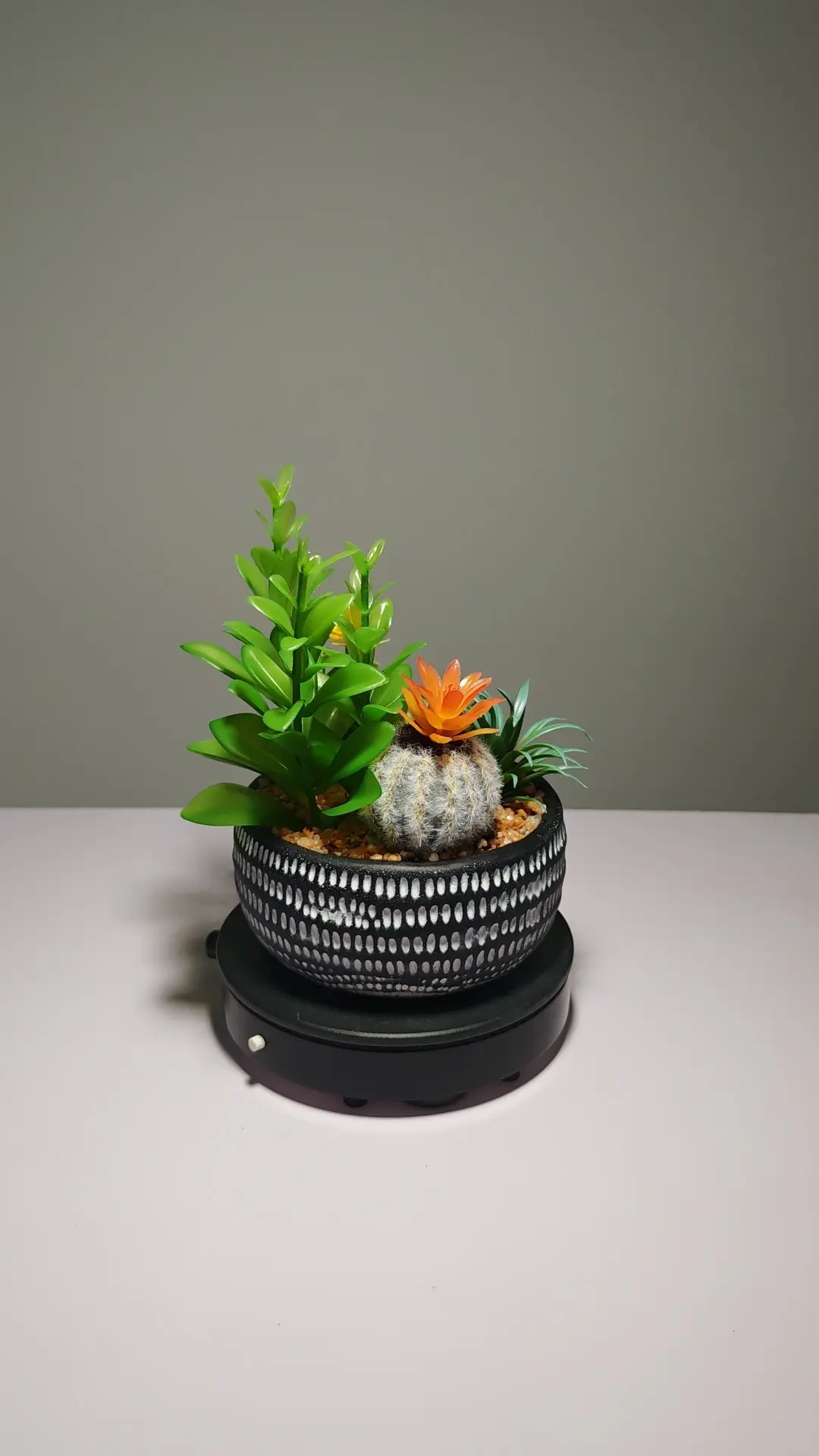 DR0049 (3) - suculentas artificiales bonsai