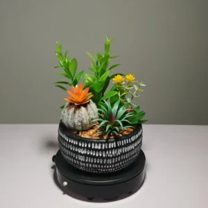 DR0049 (4) profile - suculentas artificiales bonsai