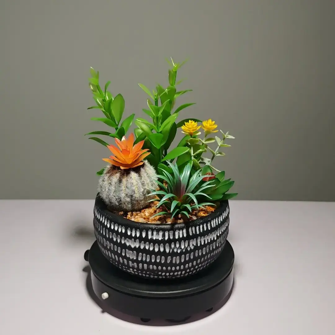 DR0049 (4) profile - suculentas artificiales bonsai