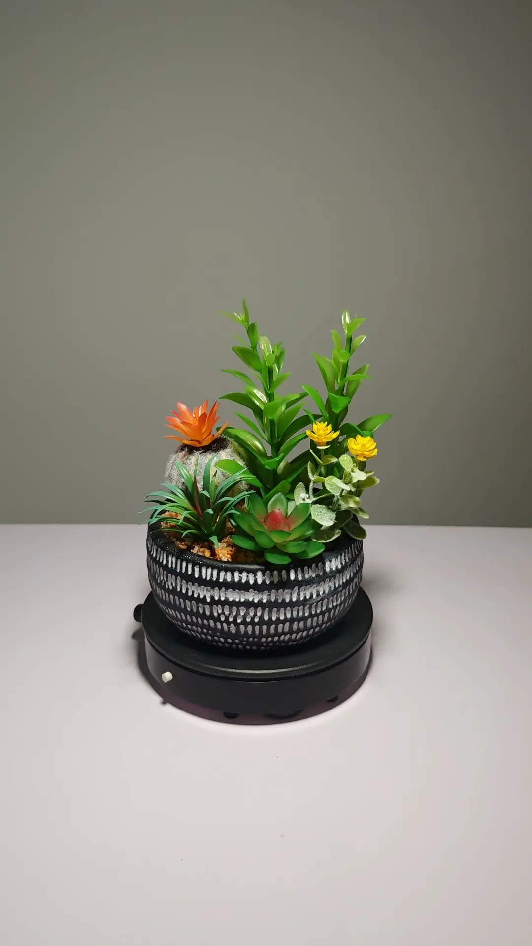 DR0049 (5) - suculentas artificiales bonsai