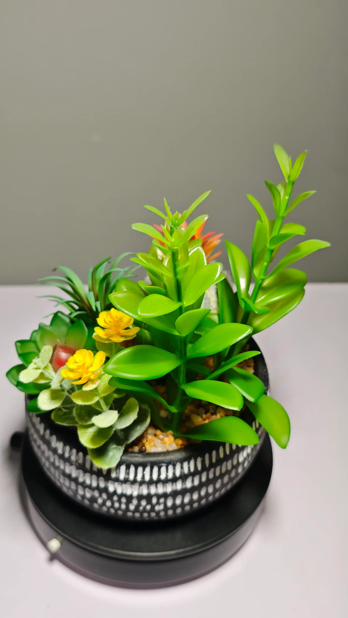 DR0049 (7) - suculentas artificiales bonsai