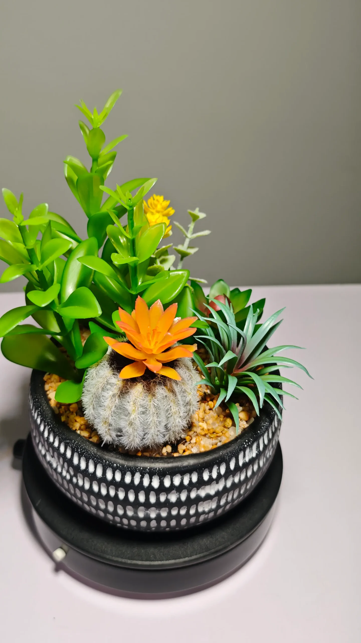 DR0049 (9) - suculentas artificiales bonsai