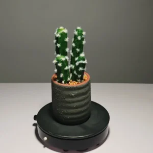 DR0051 (5) profile - suculentas artificiales souvenirs