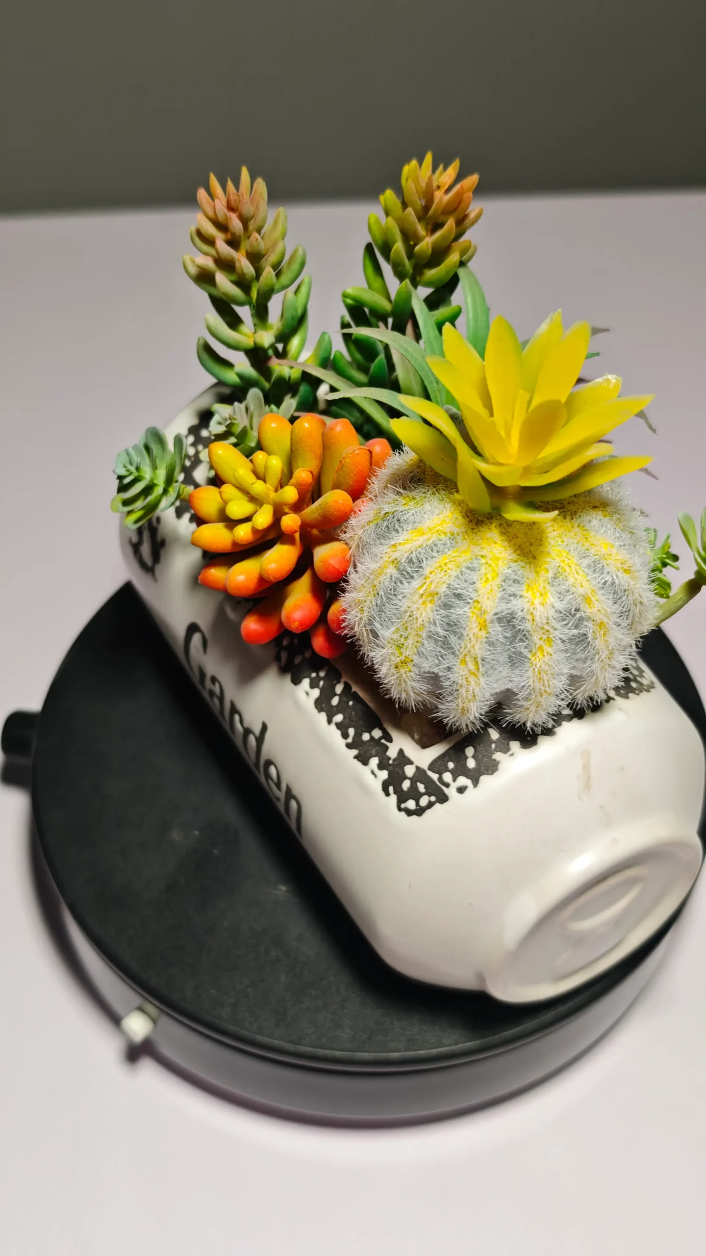 DR0055 (4) - suculentas artificiales decoradas