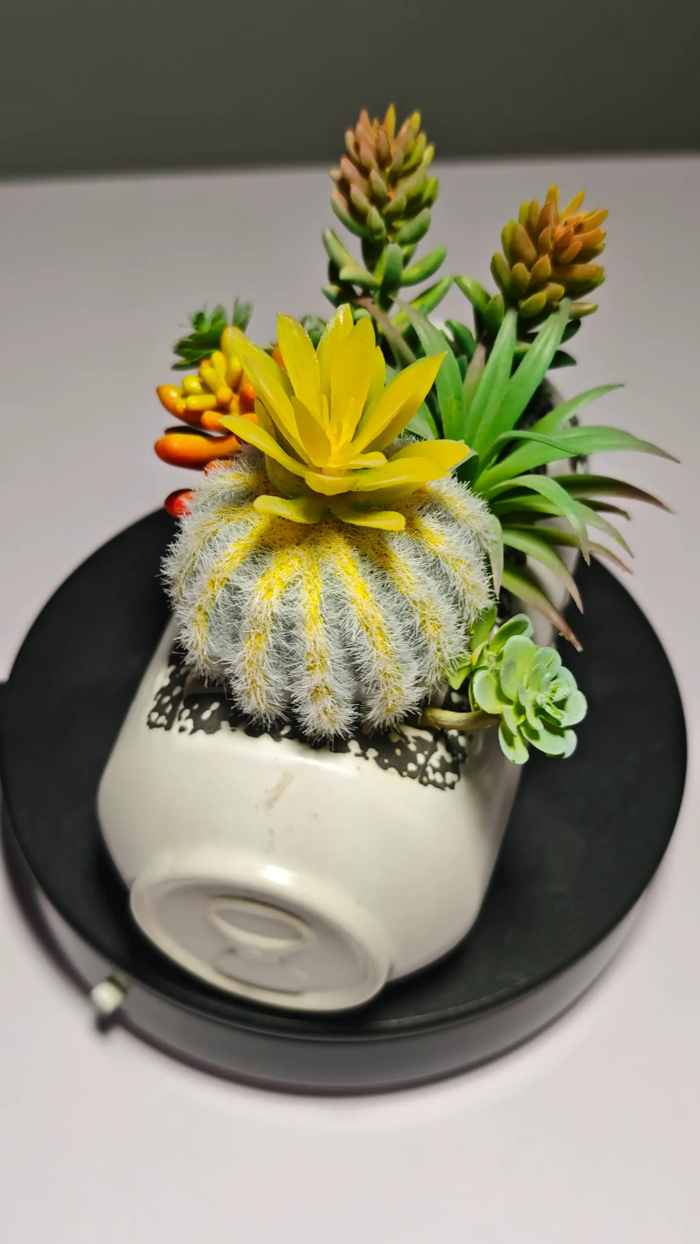 DR0055 (5) - suculentas artificiales decoradas