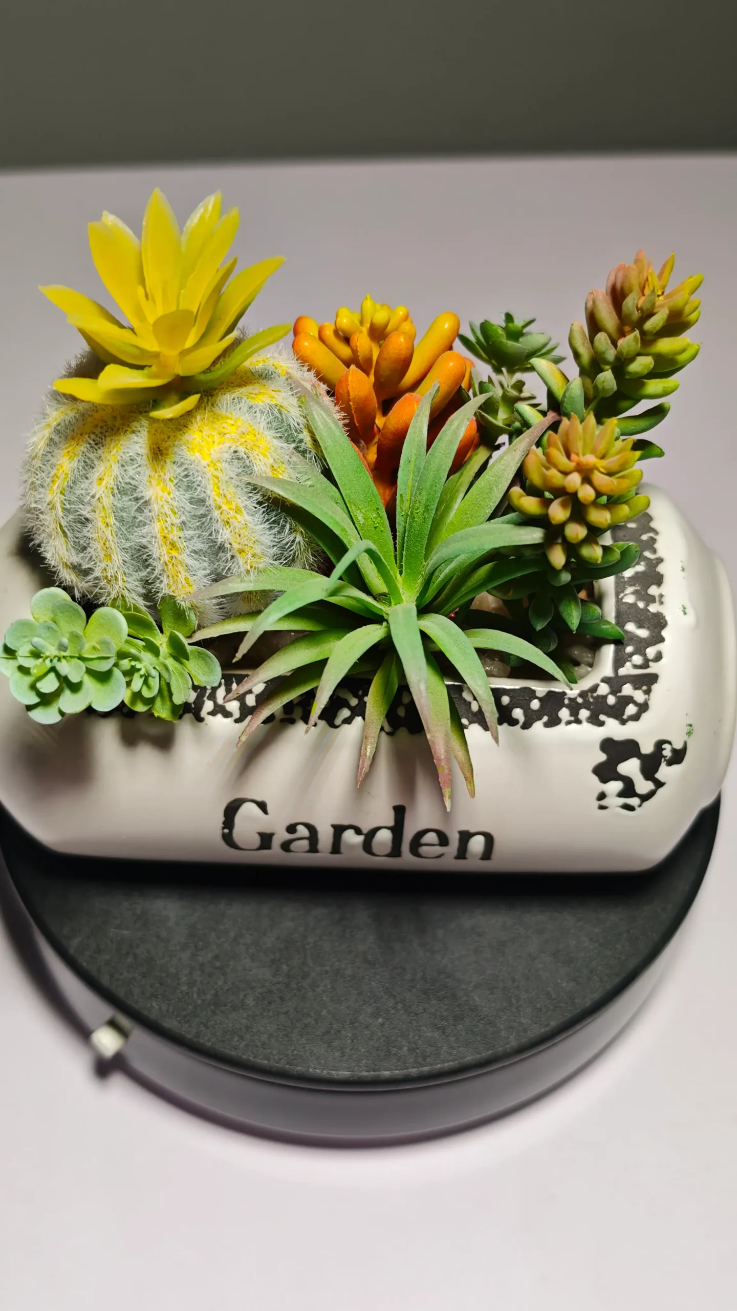 DR0055 (6) - suculentas artificiales decoradas