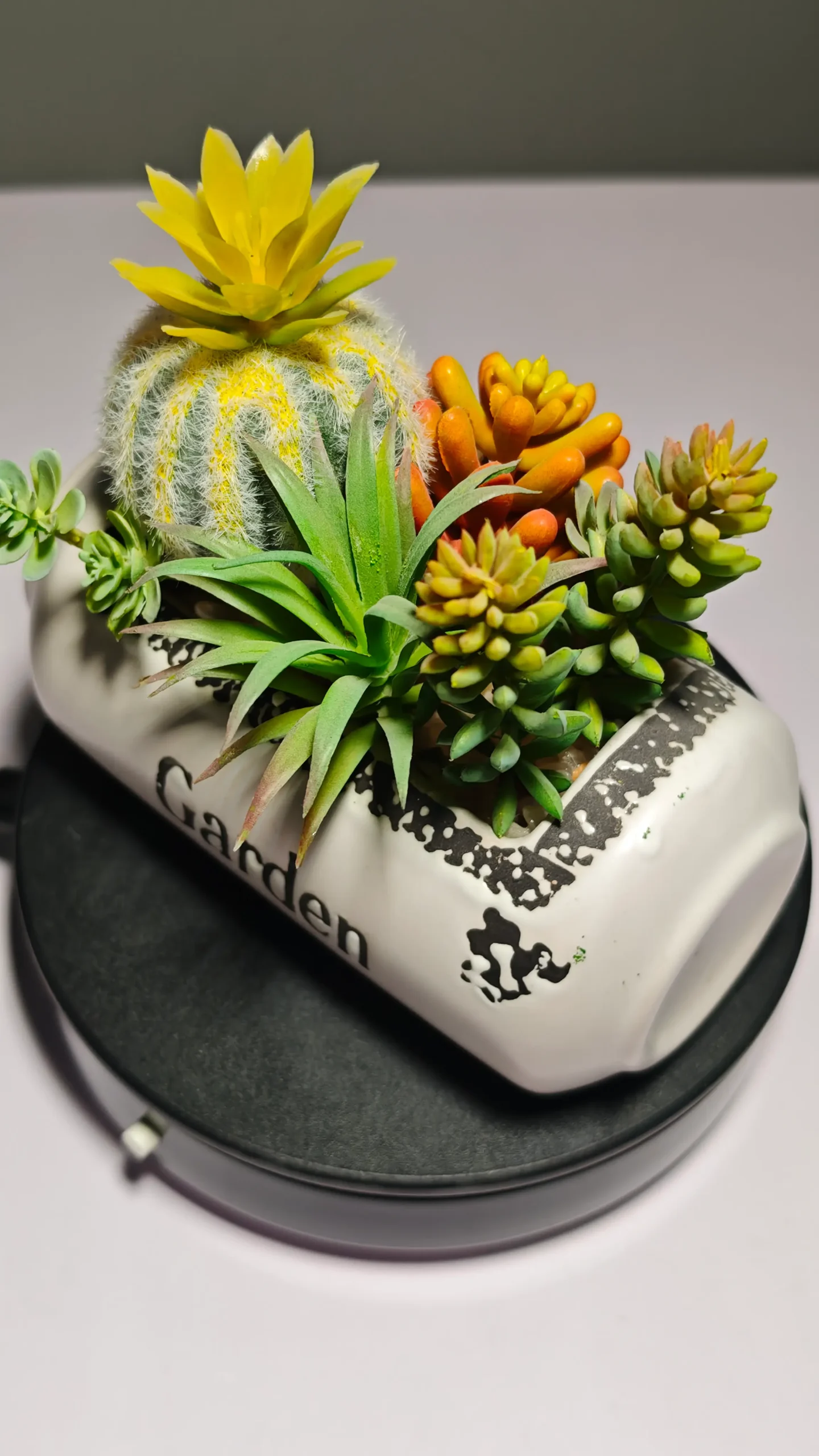 DR0055 (7) - suculentas artificiales decoradas