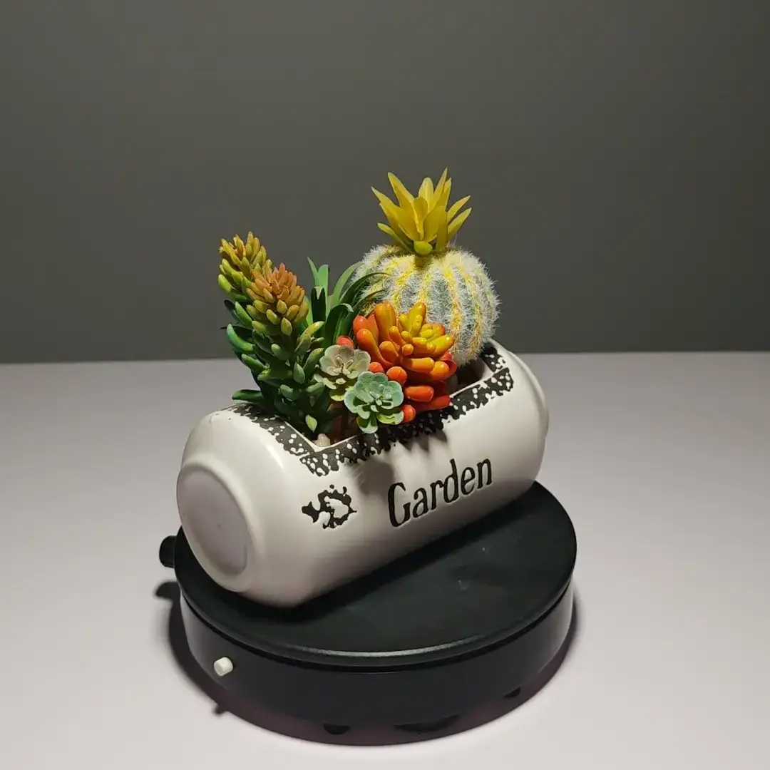 DR0055 (9) - profile suculentas artificiales decoradas