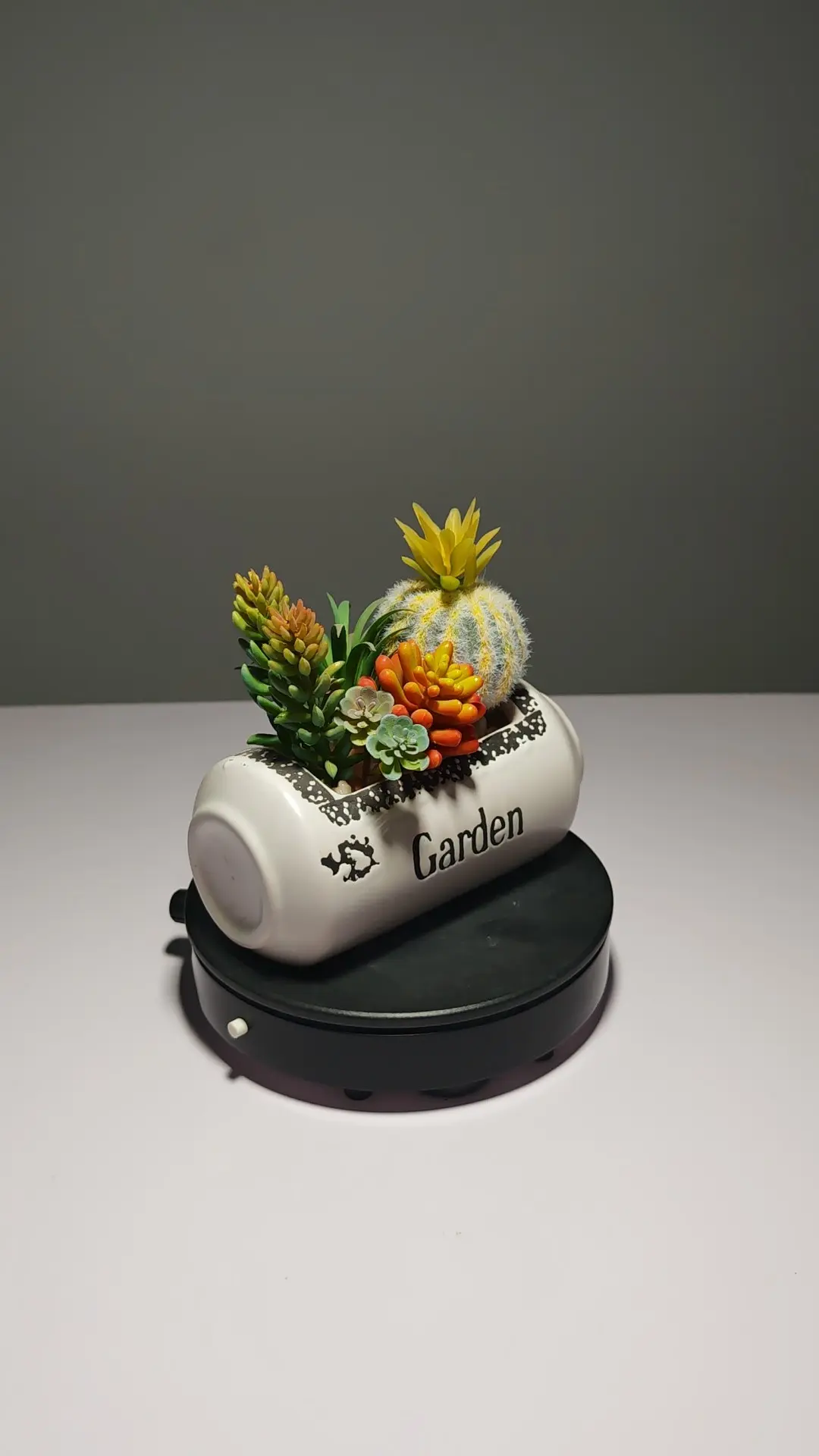 DR0055 (9) - suculentas artificiales decoradas