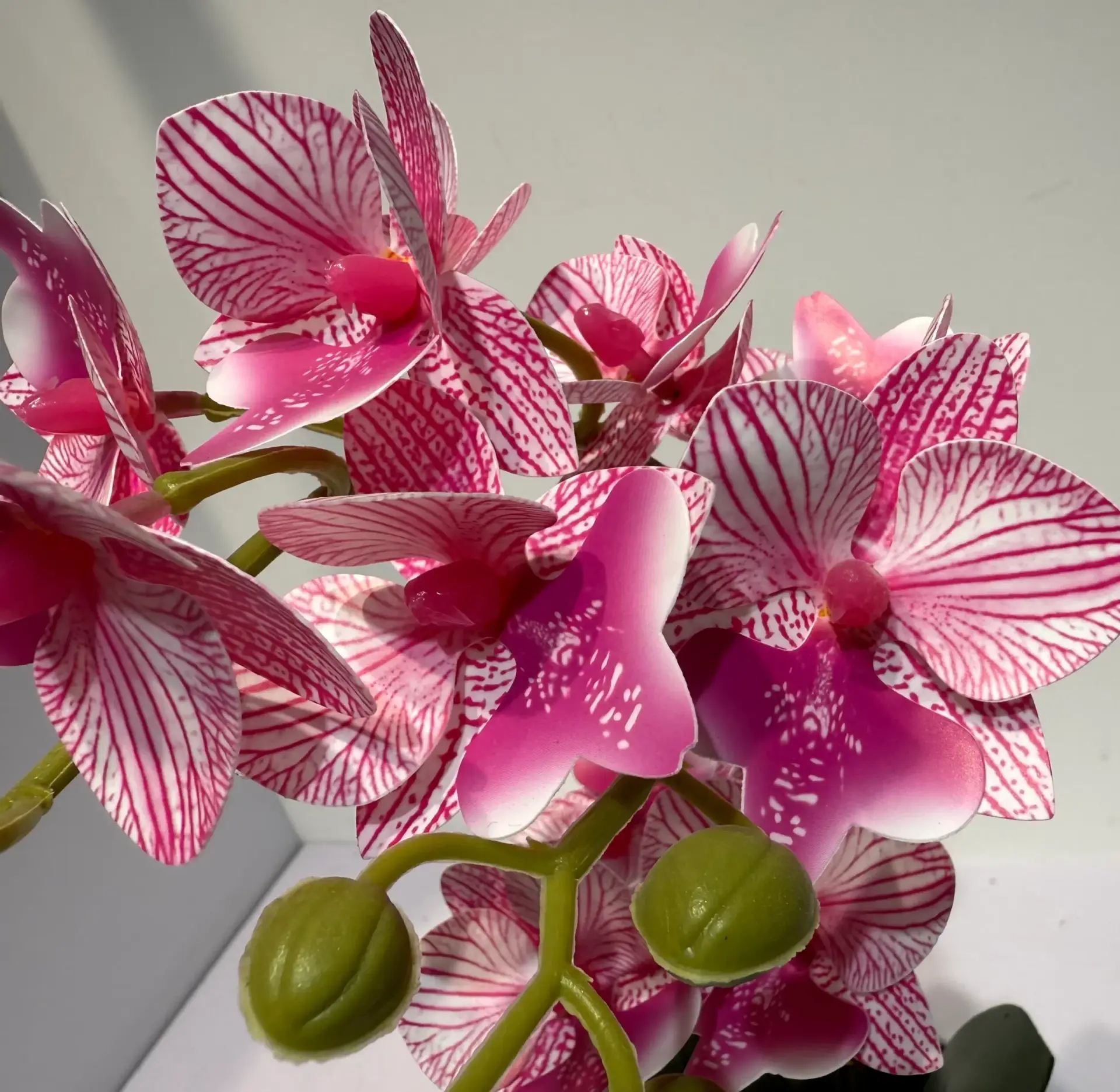 HD004-orquidea phalaenopsis artificial