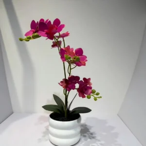 HD005 profile - Phalaenopsis Artificial con Maceta