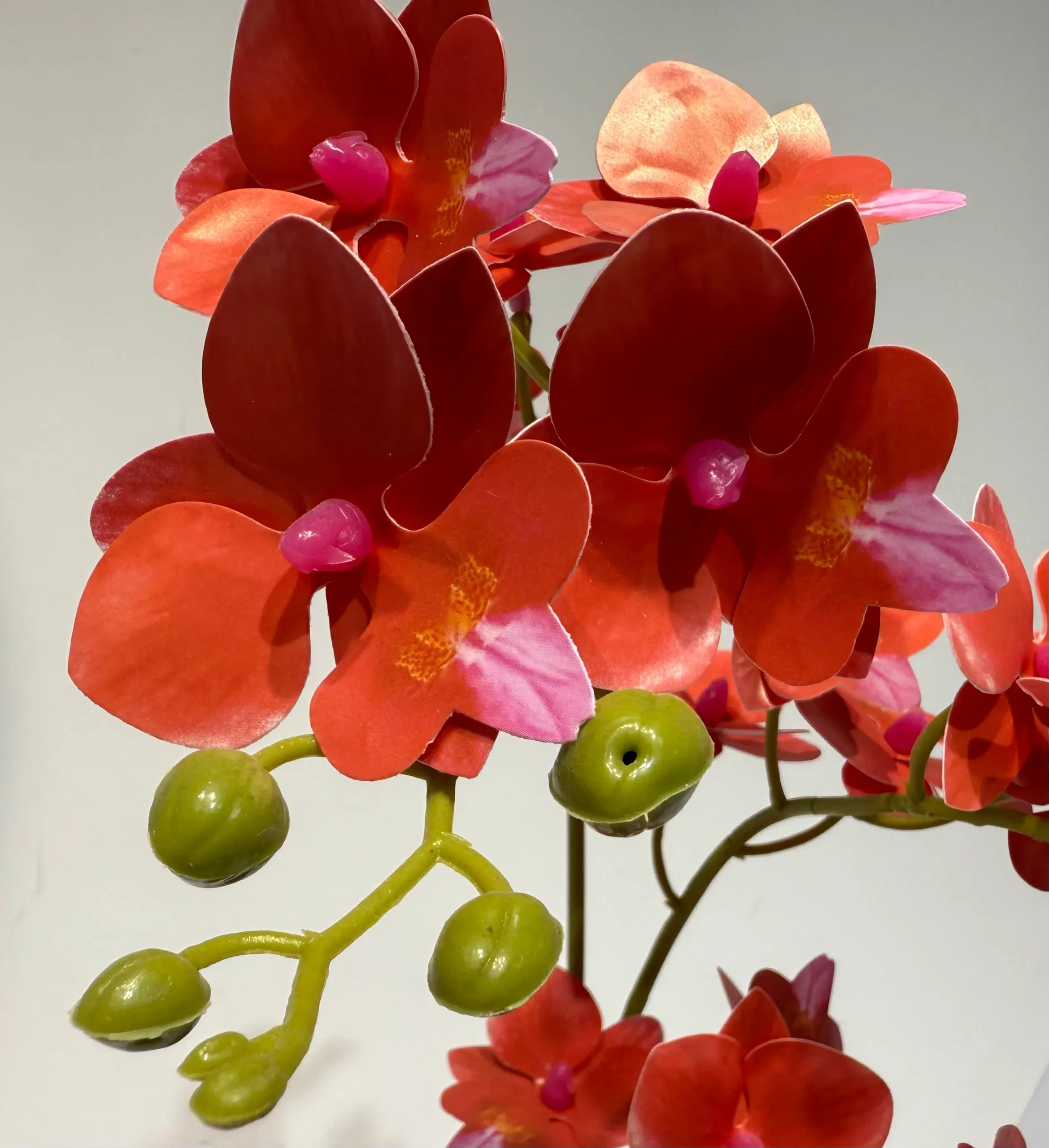 HD006 A - Orquídea Elegante Sin Cuidados Decoración elegante