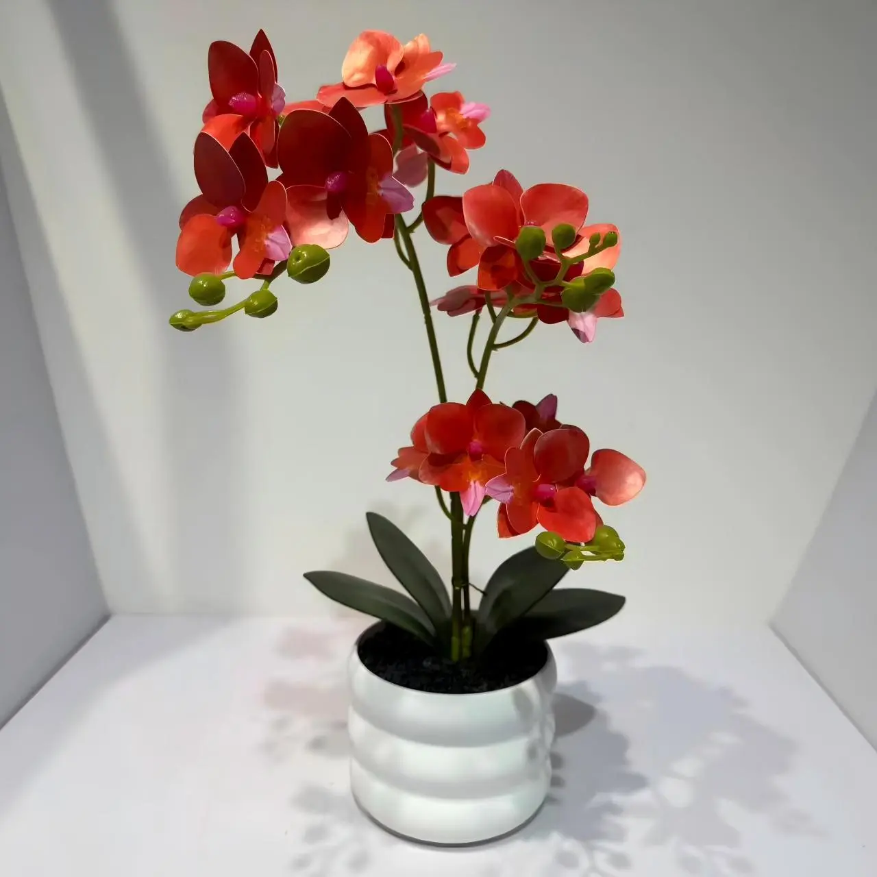 HD006 profile - Orquídea Elegante Sin Cuidados Decoración elegante