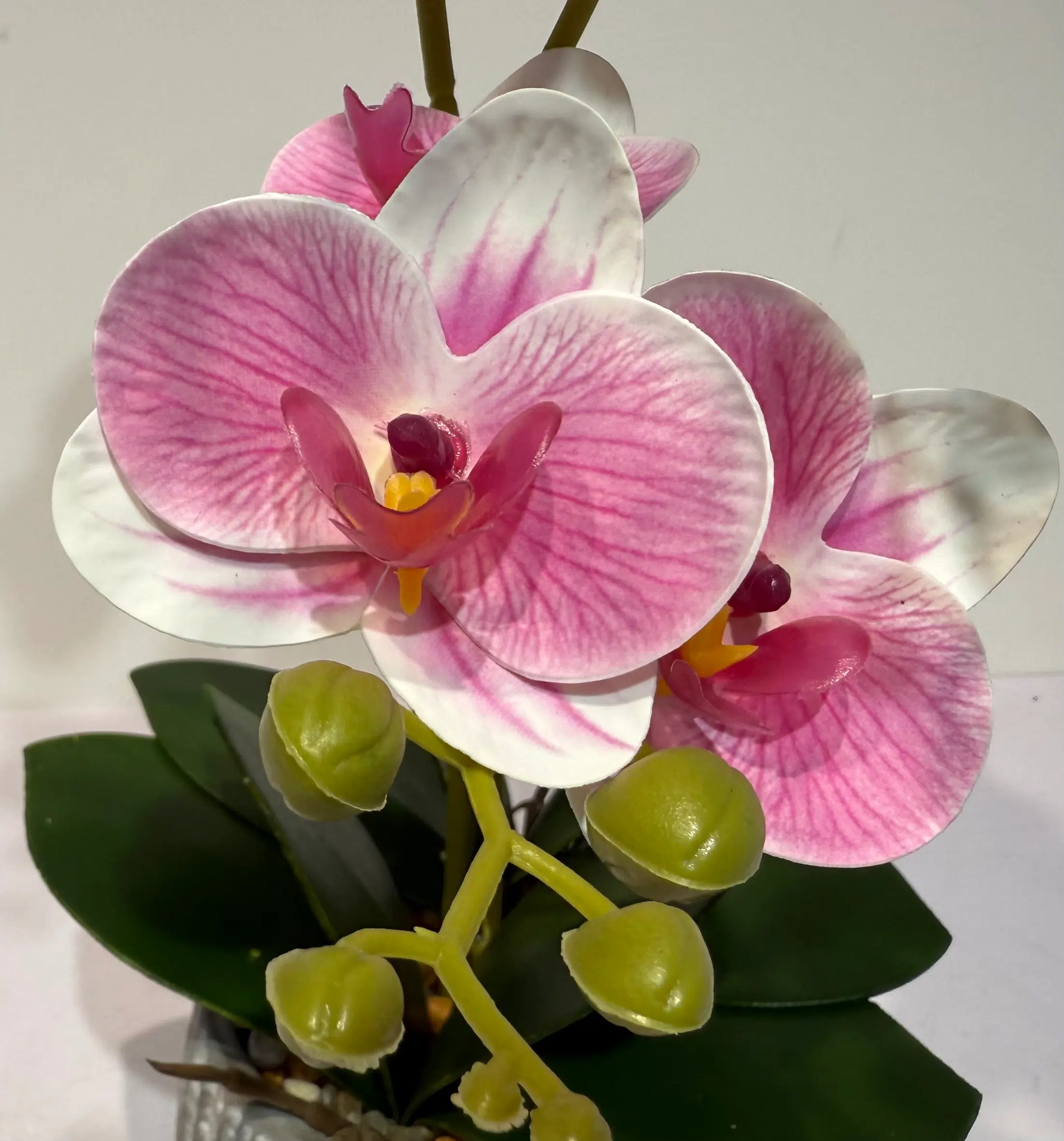 Regalo Perfecto: Orquídea Falsa | Toque de lujo - Image 2