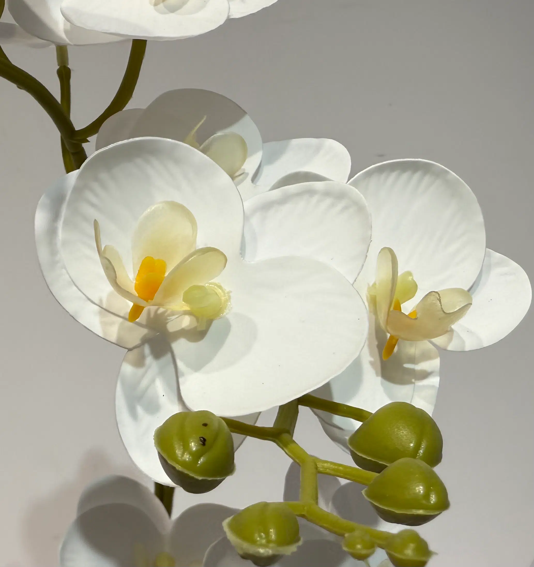 HD008 A - Orquídea Falsa de Calidad