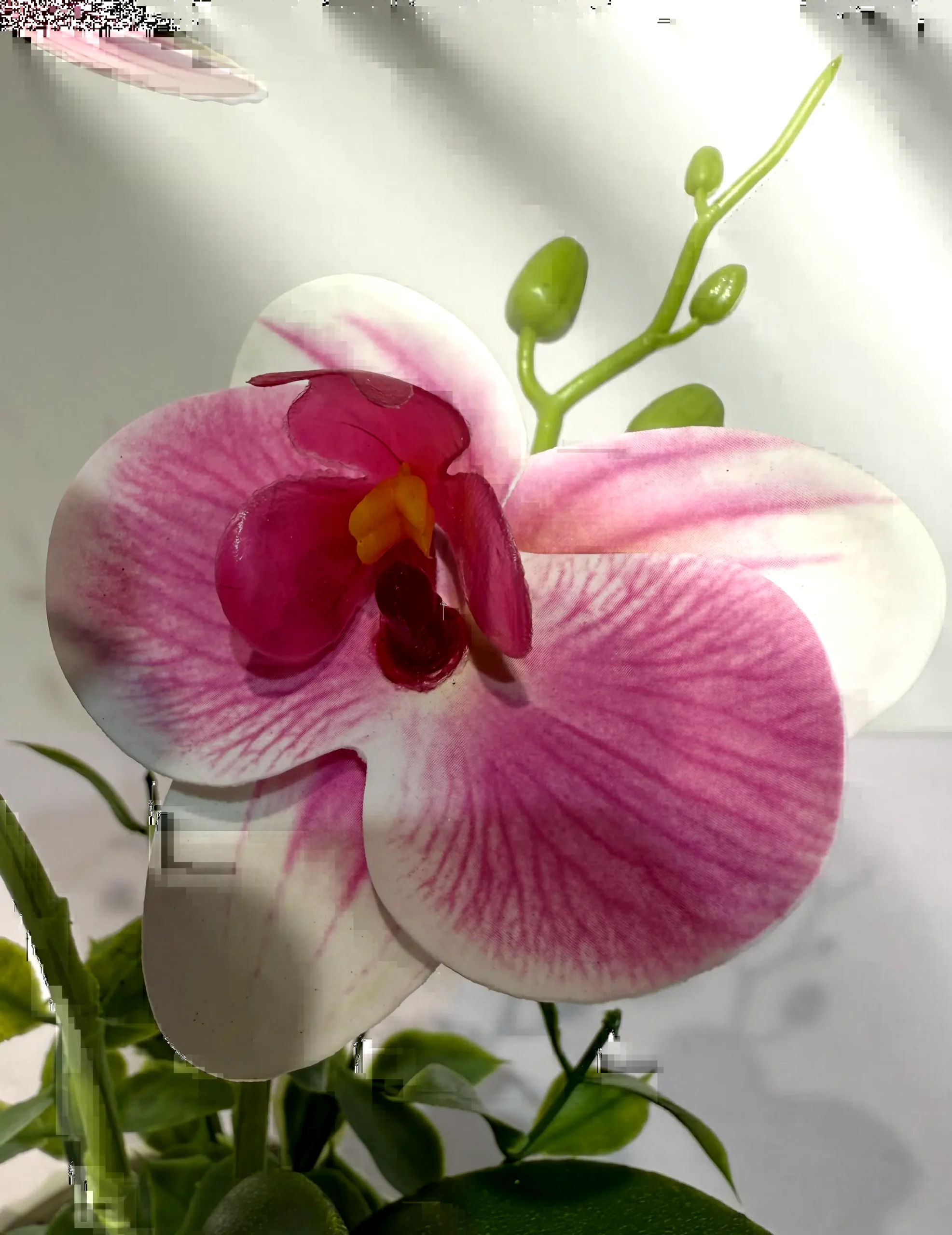 HD009 A - Orquídea Artificial Premium