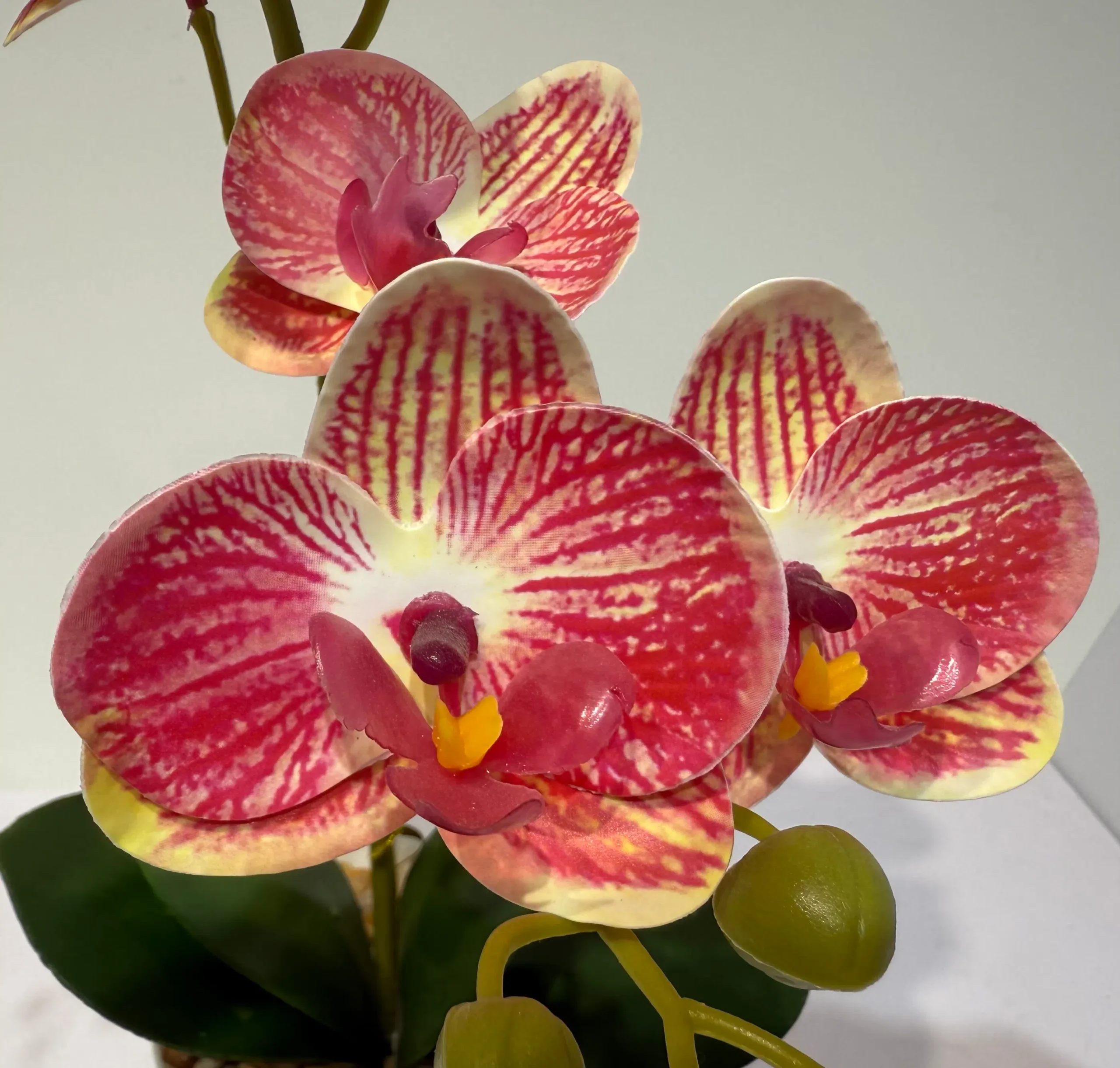 HD010 A - Orquídea Realista Sin Mantenimiento