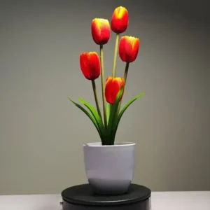 ZH0005- Tulipanes con un degradado rojo-amarillo