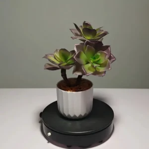 DR0045 (4) profile - Decoración de Suculentas para Escritorio