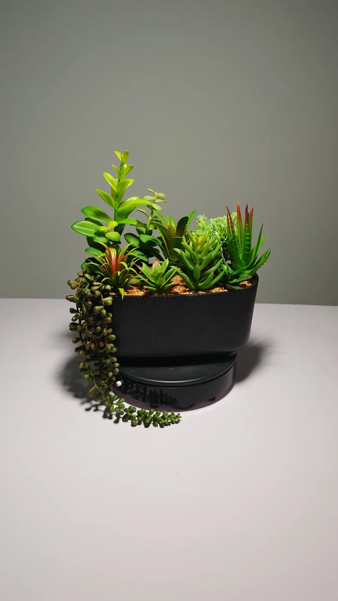 DR0048 (1) - Arreglo de Cactus y Suculentas Compacto