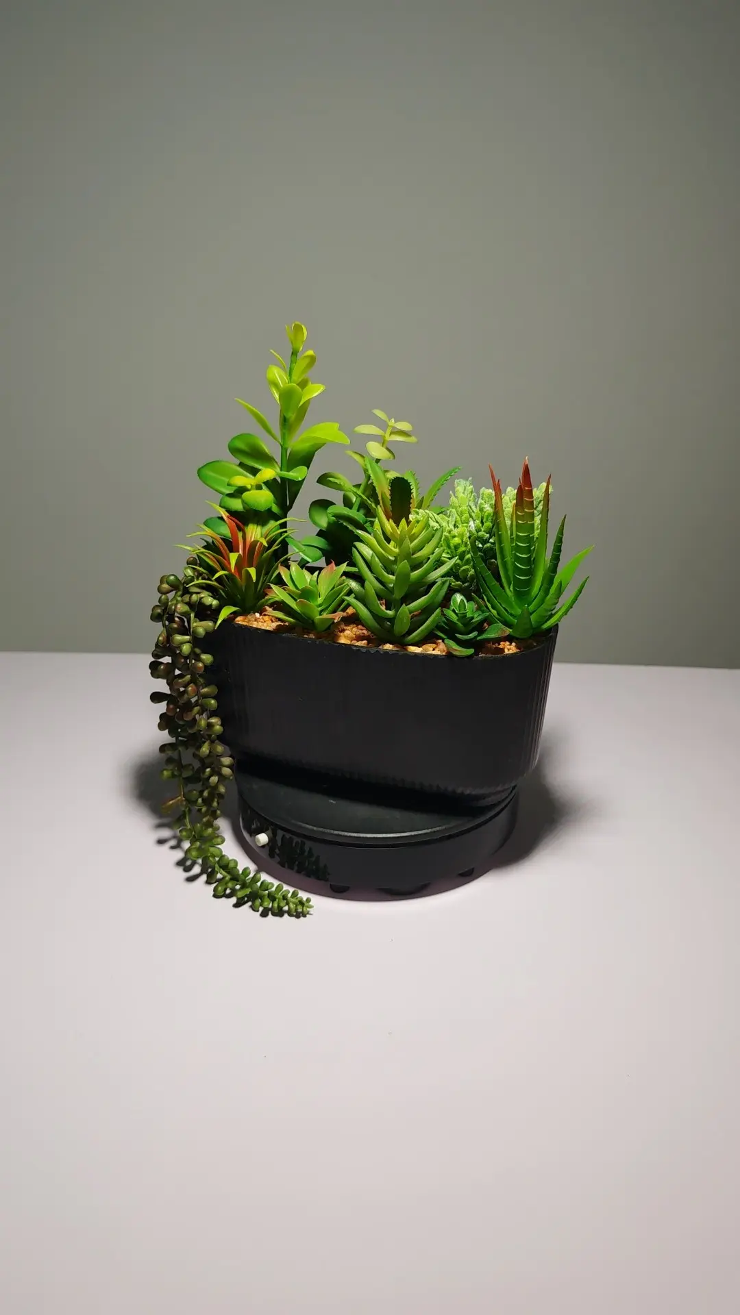 DR0048 (2) - Arreglo de Cactus y Suculentas Compacto