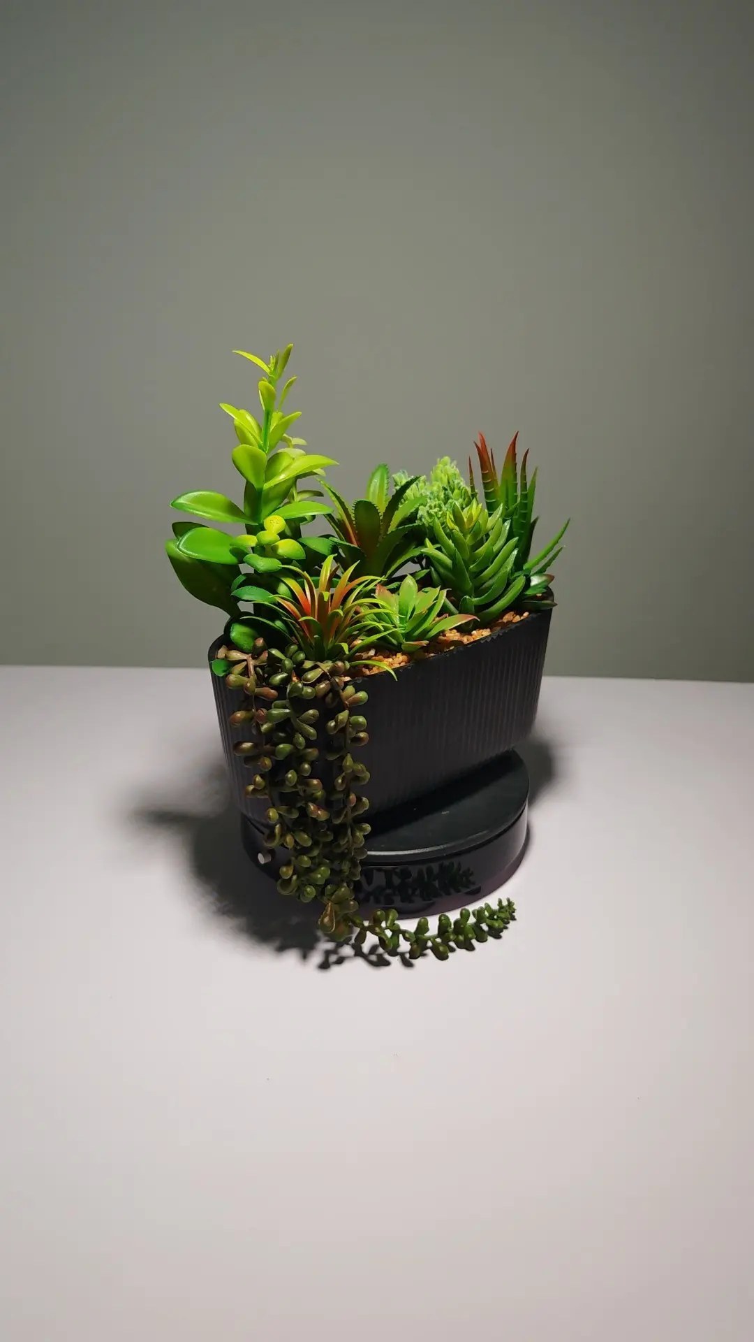 DR0048 (6) - Arreglo de Cactus y Suculentas Compacto