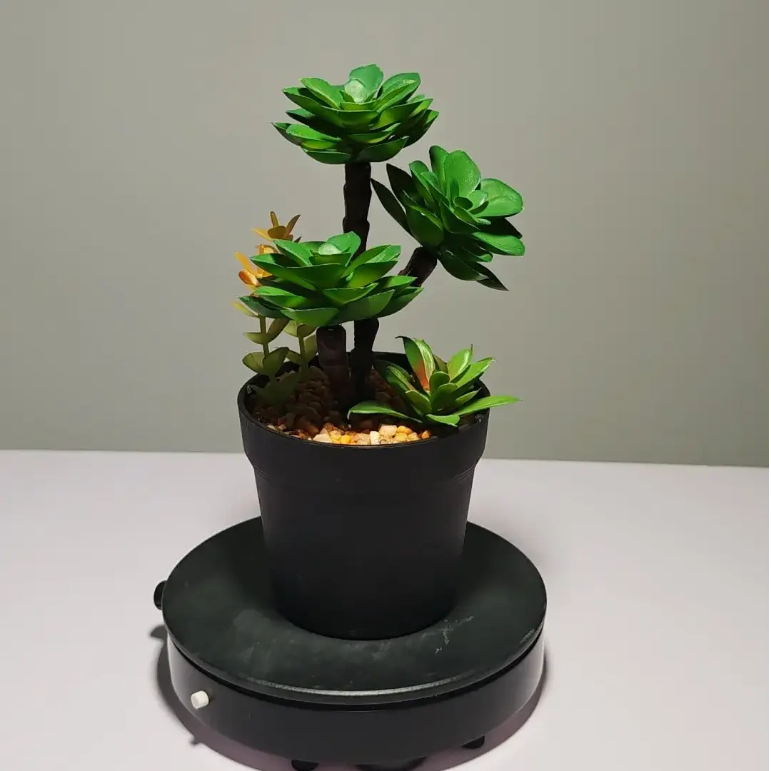 DR0050 (10) profile - Suculenta Duradera para Oficina