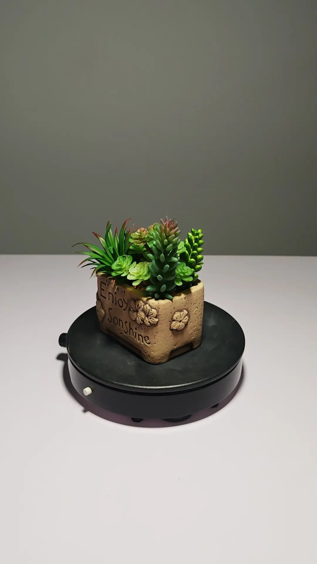 DR0052 (3) - Suculenta de Textura Peluda Artificial